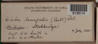 Image Associated With the Occurence